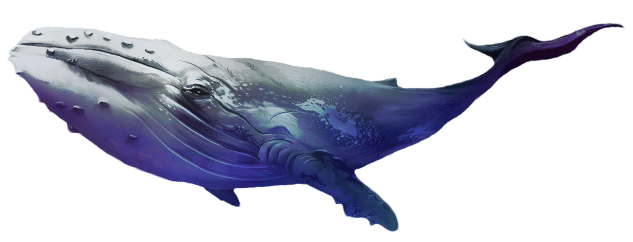 Terapie tmou - Whale