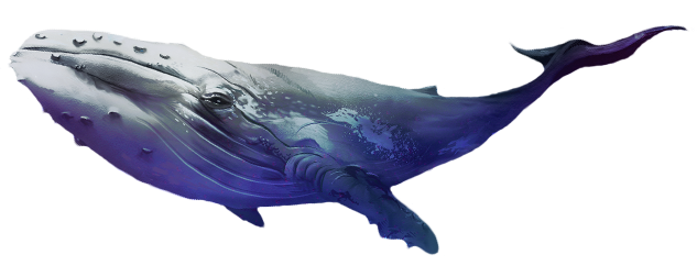 Whale Terapie tmou - Whale